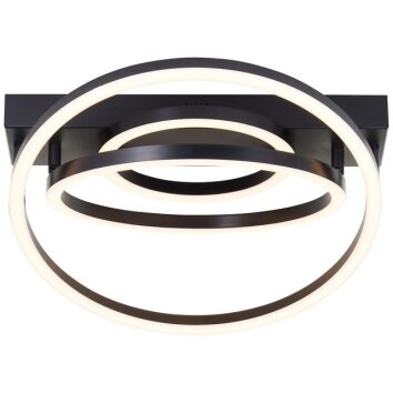 Brilliant modern LED-taklampa Pedley med tre koncentriska runda ljuselement