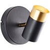 Brilliant cylindrisk väggspot Vigolo, vridbar, guldfärgad front, 3000 Kelvin varmvit