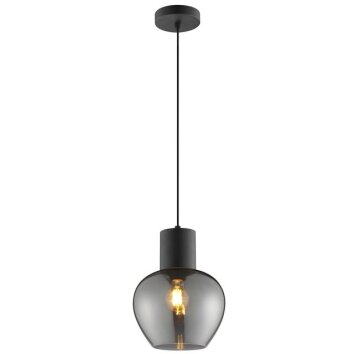 Brilliant Pendellampa Ligari med droppformad skärm av rökfärgat glas i modern stil