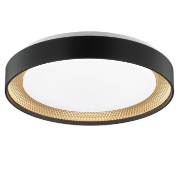 Brilliant rund LED-taklampa Waldo, med fjärrkontroll, ställbar ljusfärg 3000-6500 Kelvin