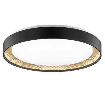 Brilliant rund LED-taklampa Waldo med fjärrkontroll, justerbar ljusfärg 3000-6500 Kelvin
