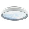 Brilliant LED-taklampa Sky-Dream, fjärrdimbar, ställbar ljusfärg 3000-6500 Kelvin