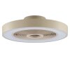 Brilliant LED-takfläkt Catania, fjärrdimbar, RGB, justerbar ljusfärg 2700-6500 Kelvin