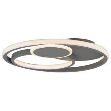 Brilliant Rund LED-taklampa Runda, ringar, minnesfunktion, 3000 Kelvin varmvitt
