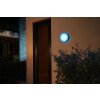 Philips Lampor Daylo Vägglampa LED Svart, 1-ljuskällor