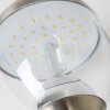Cordova vägglampa utomhus, Vägglampa LED Färg i rostfritt stål, 1-ljuskällor
