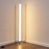 Flaut Golvlampa LED Krom, 1-ljuskällor, Fjärrkontroll, Färgväxlare