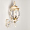 Lentua vägglampa utomhus, Vägglampa Guld, Vit, 1-ljuskällor