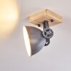 Svanfolk Taklampa, Takstrålkastare Blå, Brun, Grått, Vit, 1-ljuskällor