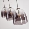 Taastrup Pendellampa, Pendelbelysning Nickel matt, 3-ljuskällor