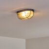 Catawba Taklampa Grått, 1-ljuskällor