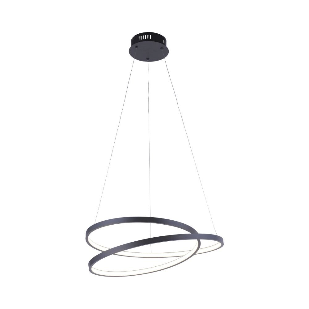 Paul Neuhaus Lampor ROMAN Pendelbelysning LED Svart, 1-ljuskällor main product photo