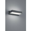 Trio Lampor CUANDO vägglampa utomhus, Vägglampa LED Antracit, 1-ljuskällor