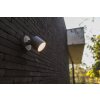 Lutec Lampor EXPLORER Vägglampa LED Antracit, 1-ljuskällor