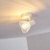 Holbol Taklampa, Takstrålkastare Vit, 1-ljuskällor