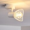 Holbol Taklampa, Takstrålkastare Vit, 1-ljuskällor