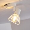 Holbol Taklampa, Takstrålkastare Vit, 1-ljuskällor