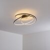 Chute Taklampa LED Svart, 1-ljuskällor
