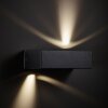 Brilliant Abbot vägglampa utomhus LED Antracit, 2-ljuskällor