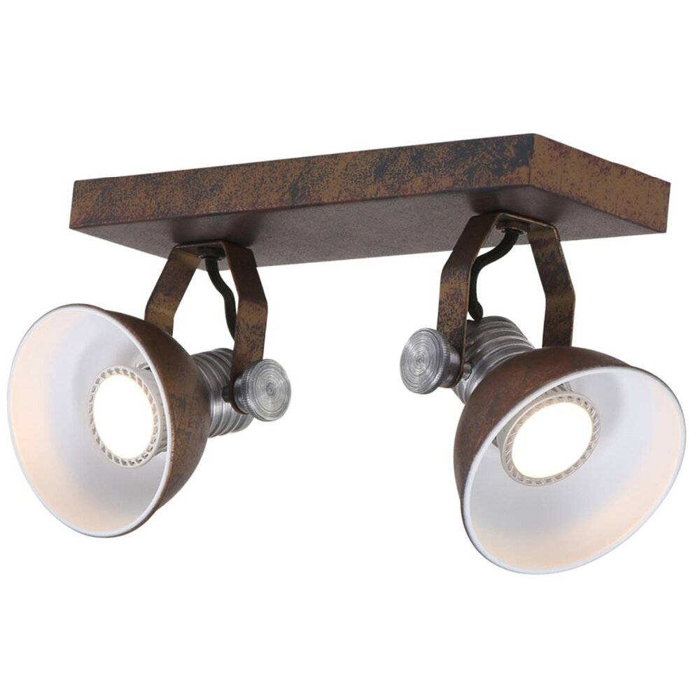 Steinhauer BROOKLY Taklampa, Takstrålkastare LED Brun, 2-ljuskällor main product photo