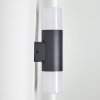Schafhaus vägglampa utomhus, Vägglampa Antracit, 2-ljuskällor