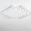 Salmi Panel LED Vit, 1-ljuskällor