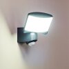 Larvik Vägglampa LED Antracit, 1-ljuskällor, Rörelsedetektor