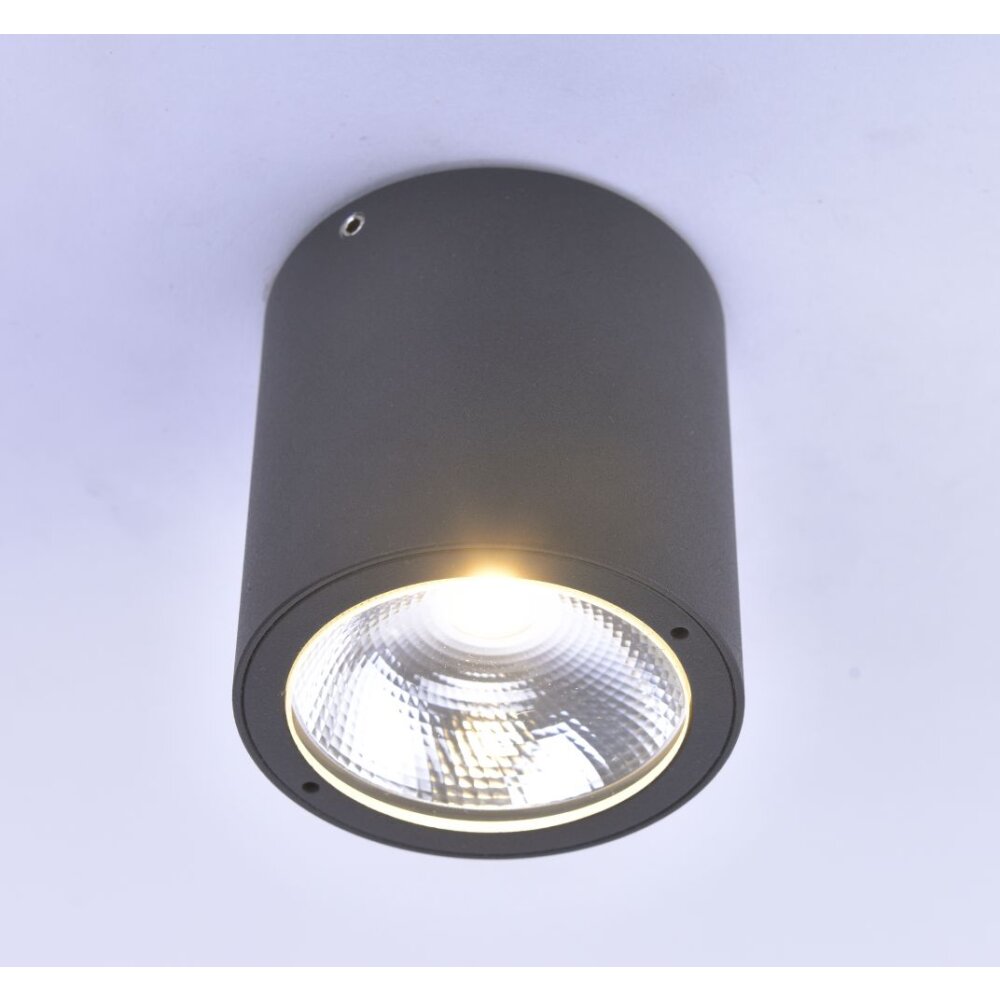 Paul Neuhaus Lampor GEORG Taklampa LED Antracit, 1-ljuskällor main product photo