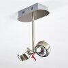 Florenz Taklampa LED Nickel matt, 2-ljuskällor