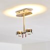 Florenz Taklampa LED Nickel matt, 2-ljuskällor