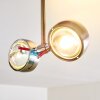 Florenz Taklampa LED Nickel matt, 2-ljuskällor