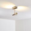 Florenz Taklampa LED Nickel matt, 2-ljuskällor