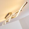 Dundas Taklampa LED Färg i rostfritt stål, 2-ljuskällor