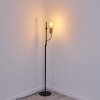 Kirehito Golvlampa Guld, Mässing, Svart, 1-ljuskällor