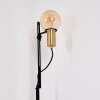 Kirehito Golvlampa Guld, Mässing, Svart, 1-ljuskällor
