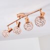 Palmira Taklampa, Takstrålkastare Kopparfärg, 4-ljuskällor