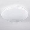Brighton Taklampa LED Vit, 1-ljuskällor, Fjärrkontroll, Färgväxlare