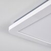 Siguna Taklampa, Panel LED Vit, 1-ljuskällor