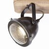 Brilliant Wood Taklampa, Takstrålkastare Färg i rostfritt stål, 2-ljuskällor