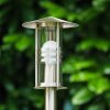 Fushun Golvlampa utomhus, Golvlampa Färg i rostfritt stål, Genomskinlig, klar, 1-ljuskällor