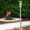 Fushun Golvlampa utomhus, Golvlampa Färg i rostfritt stål, Genomskinlig, klar, 1-ljuskällor