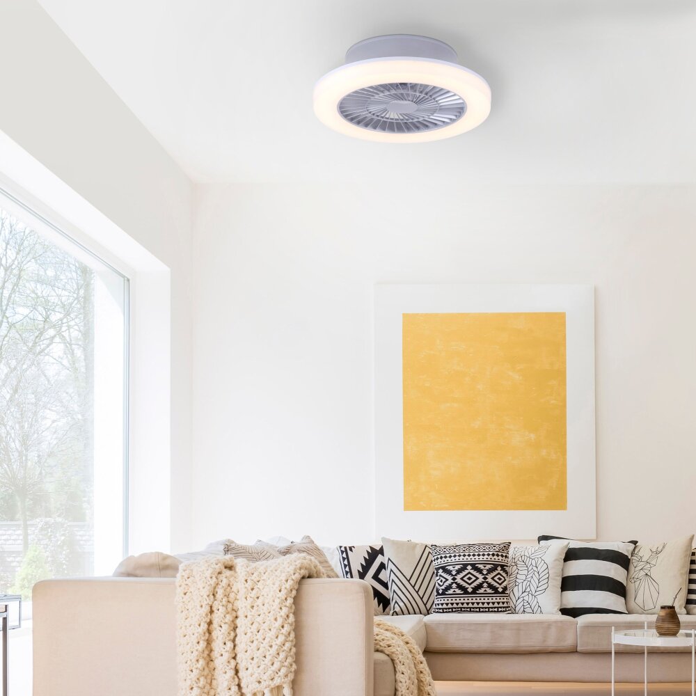 Leuchten Direkt LEONARD Taklampa LED Nickel matt, 1-ljuskällor main product photo