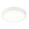 Globo ARCHIMEDES Taklampa LED Glas, 1-ljuskällor
