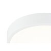 Globo ARCHIMEDES Taklampa LED Glas, 1-ljuskällor