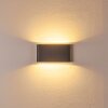 Tinglev vägglampa utomhus, Up & Down Lampa, Vägglampa LED Antracit, 2-ljuskällor