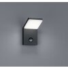 Trio PEARL vägglampa utomhus, Vägglampa LED Antracit, 1-ljuskällor, Rörelsedetektor