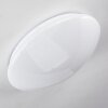 Brighton Taklampa LED Vit, 1-ljuskällor, Fjärrkontroll, Färgväxlare