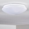 Brighton Taklampa LED Vit, 1-ljuskällor, Fjärrkontroll, Färgväxlare