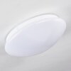 Brighton Taklampa LED Vit, 1-ljuskällor, Fjärrkontroll, Färgväxlare