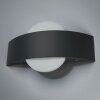 Ledvance ENDURA Vägglampa LED Svart, 1-ljuskällor